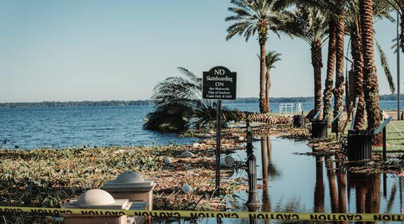 Photo by Connor Scott McManus on Pexels