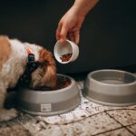 Looney Road to close April 7-9 for drain replacement Photo by Helena Lopes on Pexels