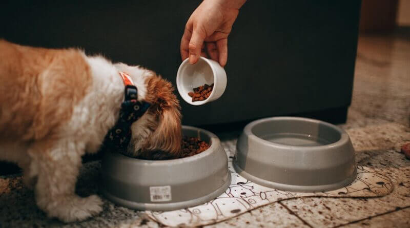 Looney Road to close April 7-9 for drain replacement Photo by Helena Lopes on Pexels