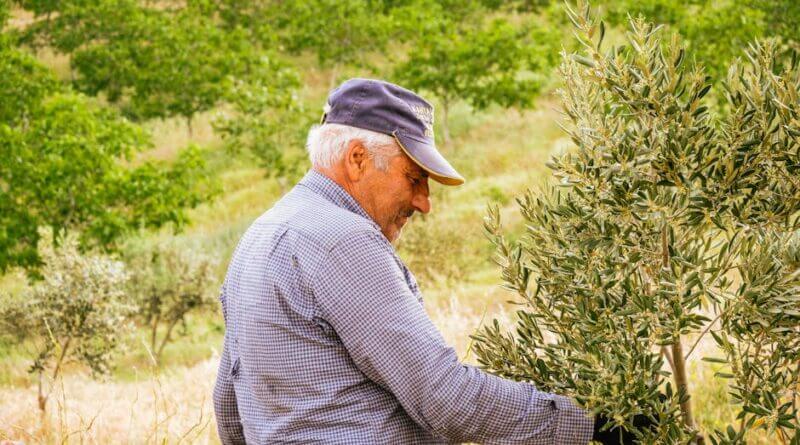 Photo by İsa kahraman on Pexels