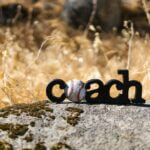 Crooked Letter Sports: A smorgasbord of sports Photo by RDNE Stock project on Pexels