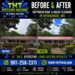 TNT Pressure Washing says softwash restored Hernando roof Another roof brought back to life today in Hernando, MS!