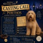 DeSoto Family Theatre seeks dog to play Porthos in upcoming production 🐾 CASTING CALL: PORTHOS 🐾