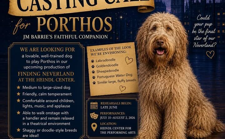 DeSoto Family Theatre seeks dog to play Porthos in upcoming production 🐾 CASTING CALL: PORTHOS 🐾