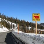 Will a Wilkinson County road bear a Klan victim’s name? Photo by laura parenti on Pexels