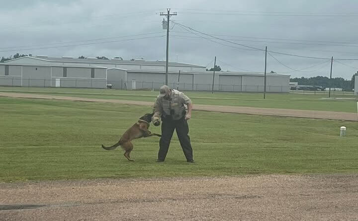 Photos from Panola County Sheriff's Office- MS's post