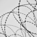Mississippi’s spiraling prison rate could be curbed by adequate public defender system, state official says Photo by Engin Akyurt on Pexels