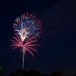 Hernando urges residents to shop local during U.S. 250th birthday week Photo by Rod Shelley on Pexels