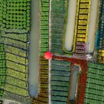 Delta Harvest Neighborhood Market aims to support farmers and Jackson shoppers Photo by Felix Schickel on Pexels