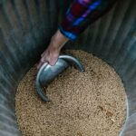 The Dirty Truth About the Wood Pellet Biomass Industry in Mississippi Photo by RDNE Stock project on Pexels
