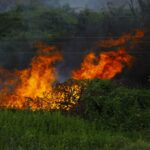 State may see dangerous heat, damage count from Arthur climbs to 248 homes Photo by Saravanan Narayanan on Pexels