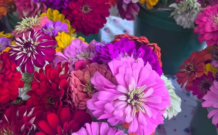Photos from Hernando Main Street Chamber of Commerce's post