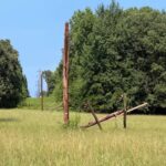 Storm knocks out power to 240 in Olive Branch, mayor says Ken Adams, Olive Branch Mayor