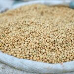 China resumes US soybean purchases under trade deal with Trump, but future for farmers remains ‘daunting’ Photo by King Shooter on Pexels