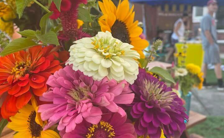 Olive Branch farmers market open until noon, mayor says Photos from City of Olive Branch - Government's post