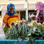 Mississippi Marketplace: What’s ahead for Mississippi farmers? Photo by Brett Sayles on Pexels