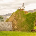 Olive Branch to begin park repairs after July 4 storm Photo by Castorly Stock on Pexels
