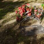Hundreds mourn Nolan Wells at South Mississippi vigil on teen’s 19th birthday Photo by RDNE Stock project on Pexels