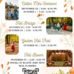 Hernando Main Street Chamber Announces Fall Bloom Partnership Image supplied with the Hernando Main Street Chamber of Commerce RSS post