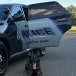 K9 tracking operation leads officers to juveniles in auto burglary case Image supplied with the Horn Lake Police Department RSS post