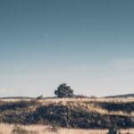 DeSoto County Weather: Dry Week, Rain Chances by Friday Dry grass field under a clear blue sky, illustrating dry DeSoto County weather and drought
