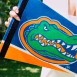 SEC sues LSU as athletes plead in court to regain eligibility with college sports season underway Photo by Jacob Sierra on Pexels