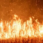 Massive fire causes evacuation of Laurel’s Howard Industries Photo by Keith Lowery on Pexels