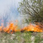 Mississippi issues Lafayette burn ban after senator puts heat on agency amid drought Photo by Michal Petráš on Pexels