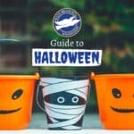 Olive Branch says it does not set Halloween trick-or-treating date Image supplied with the City of Olive Branch RSS post