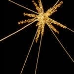 Light Garden to return to City Park this holiday season Image supplied with the City of Olive Branch RSS post