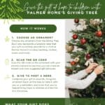 Local businesses invited to host Palmer Home giving trees Image supplied with the Hernando Main Street Chamber of Commerce RSS post