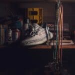 The 5 Best Garage Storage Systems for DeSoto County Homes Organized garage shelf with stored items