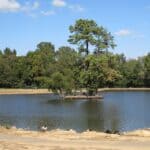 DeSoto County Heat: Near-Record Highs in Low 90s This Week Sunny blue sky over the lake at Olive Branch City Park as DeSoto County heat returns