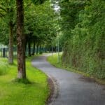 Horn Lake Aldermen Oct. 6: Park Trail, GE Vernova Tax Break Paved walking path through a green park, illustrating the Horn Lake aldermen's park trail repaving item