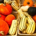 Things to Do in DeSoto County This Weekend: Oct. 23-25 Pumpkins and squash in market baskets, a fall scene for things to do in DeSoto County this weekend